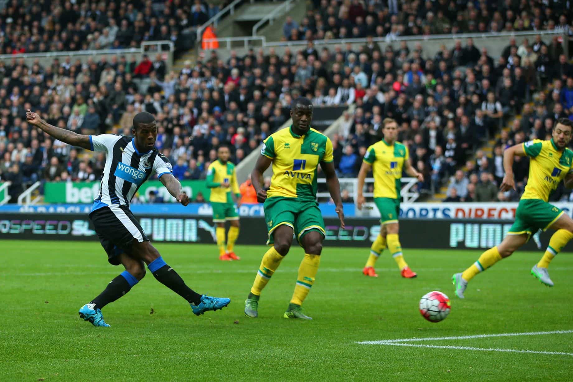 Norwich vs Newcastle Preview, Tips and Odds Sportingpedia Latest Sports News From All Over