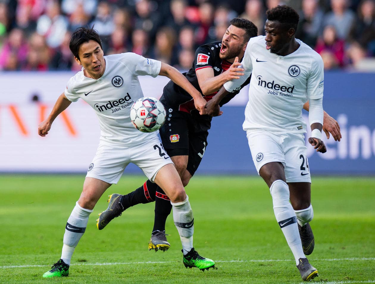 Eintracht Frankfurt Bayer Leverkusen