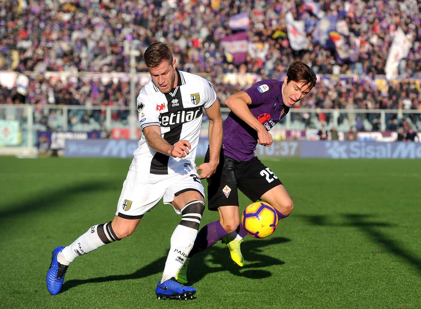 Fiorentina vs Parma Preview, Tips and Odds - Sportingpedia - Latest