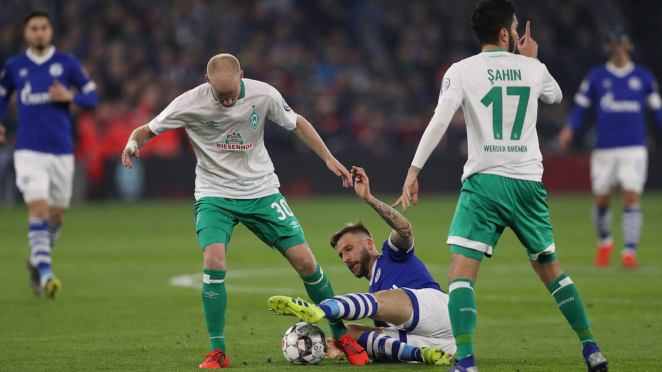 Schalke Werder Schalke Werder