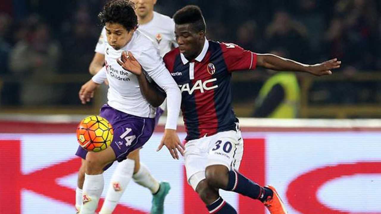 Bologna vs Fiorentina Preview, Tips and Odds Sportingpedia Latest Sports News From All Over