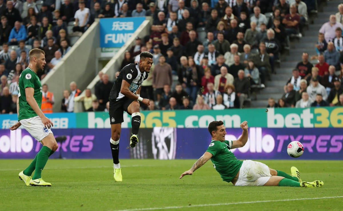 Newcastle vs Brighton Preview, Tips and Odds Sportingpedia Latest