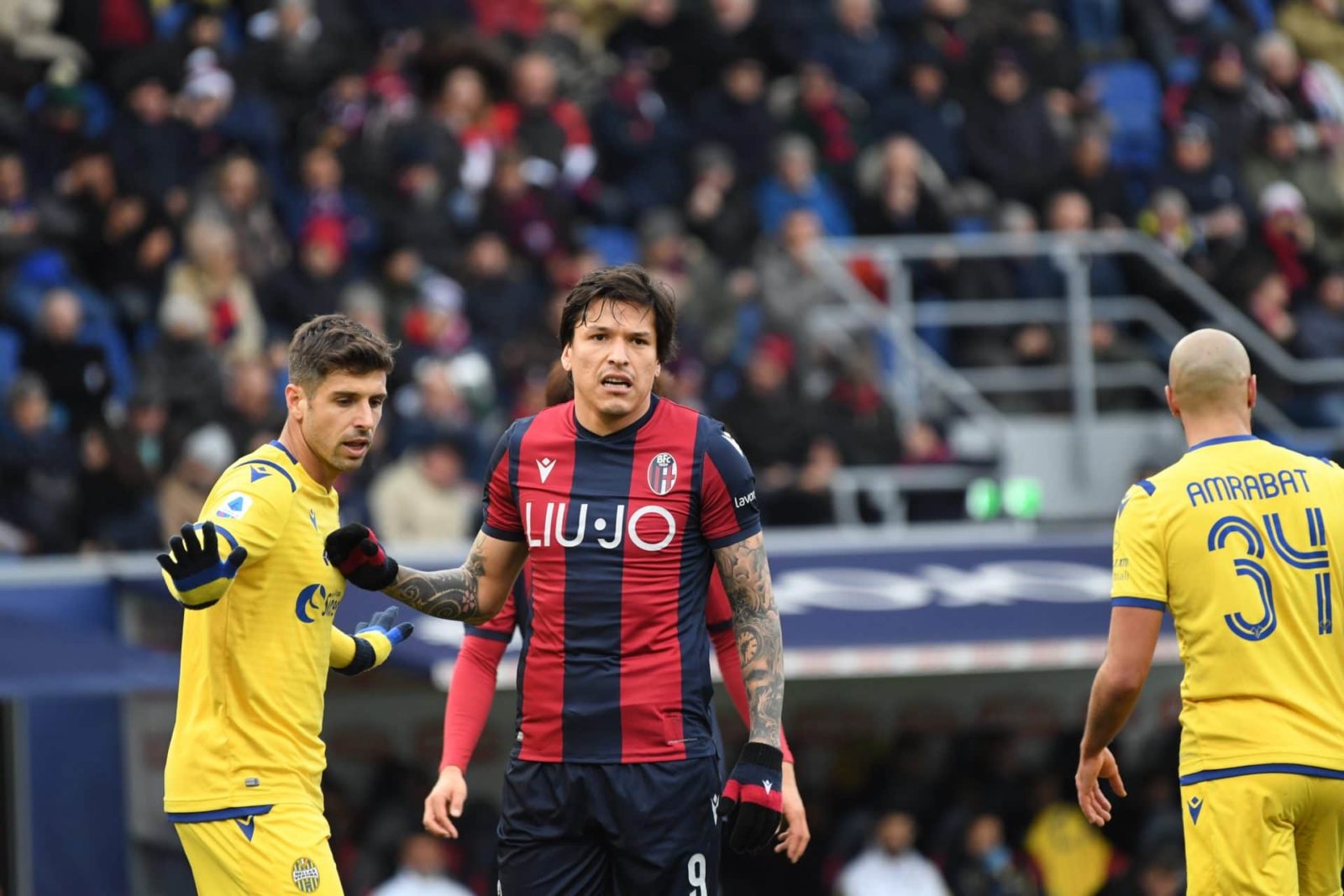 Bologna vs Verona Preview, Tips and Odds Sportingpedia Latest Sports News From All Over the