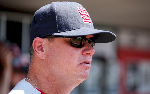Cardinals Name Mike Schildt Manager