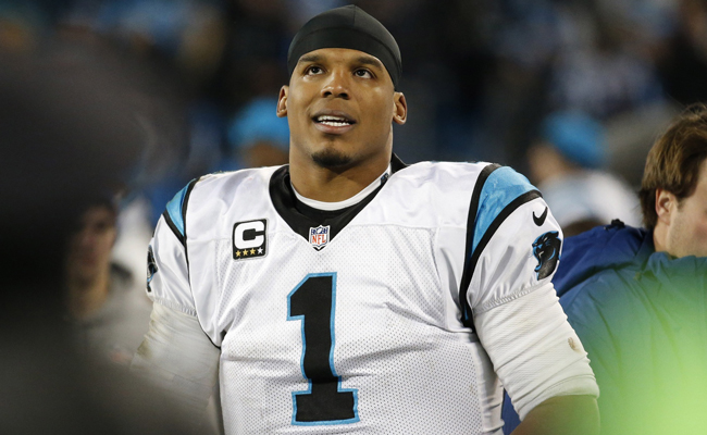 Bengals vs Panthers, Tips and Odds