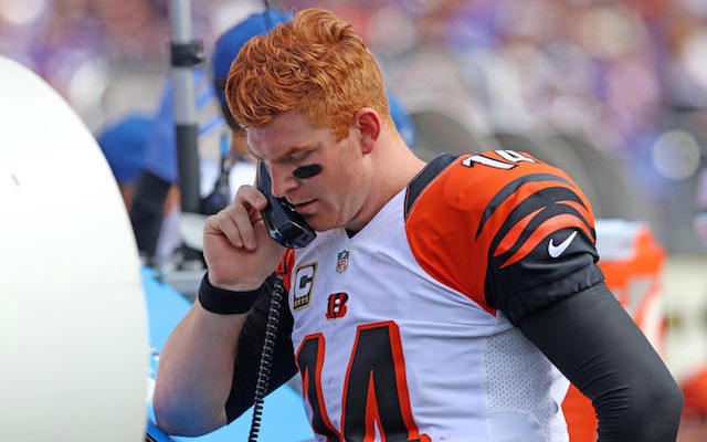 Dolphins vs. Bengals Preview, Tips & Odds