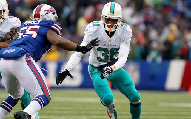Lions vs. Dolphins Preview, Tips, and Odds