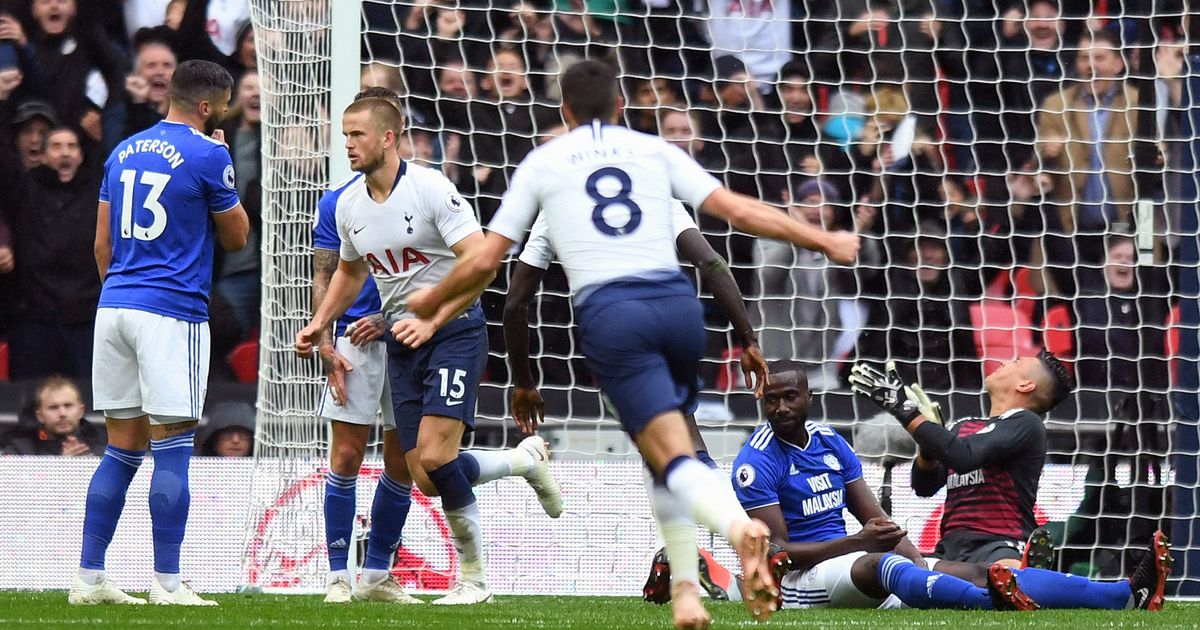 Cardiff vs Tottenham   Preview, Tips and Odds