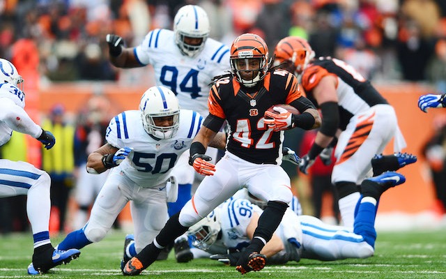Oakland Raiders vs. Cincinnati Bengals Preview, Tips, and Odds Oakland Raiders vs. Cincinnati Bengals Preview, Tips, and Odds