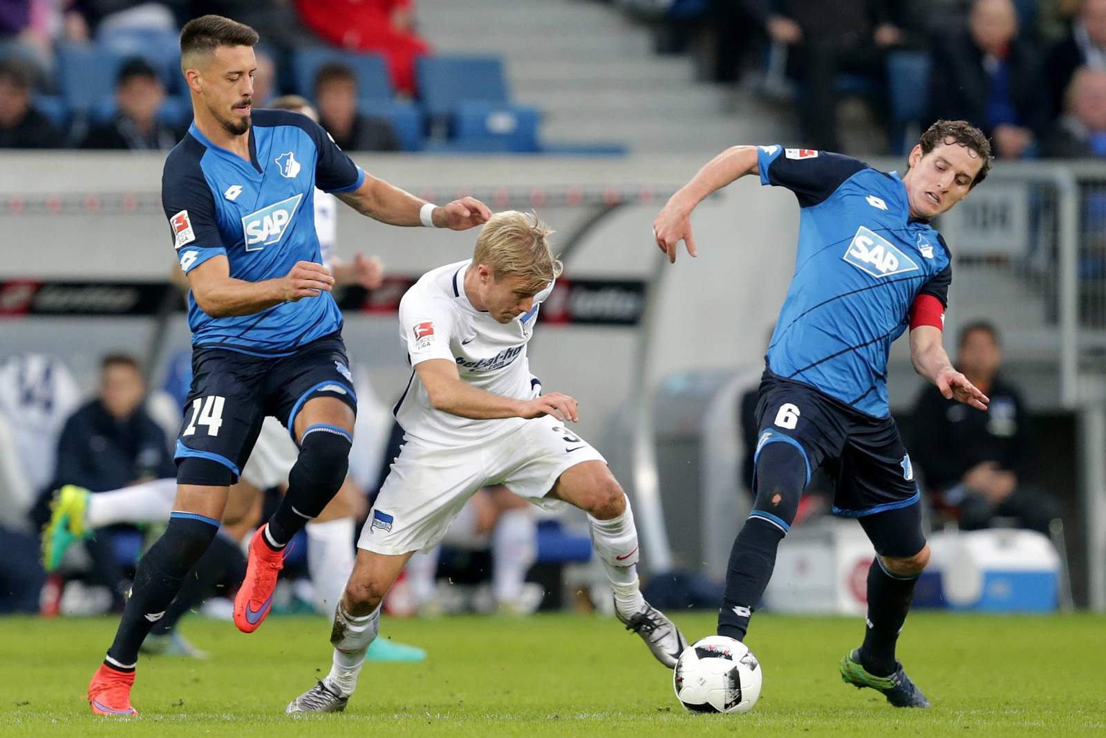 Hertha Berlin vs Hoffenheim Preview, Tips and Odds - Sportingpedia