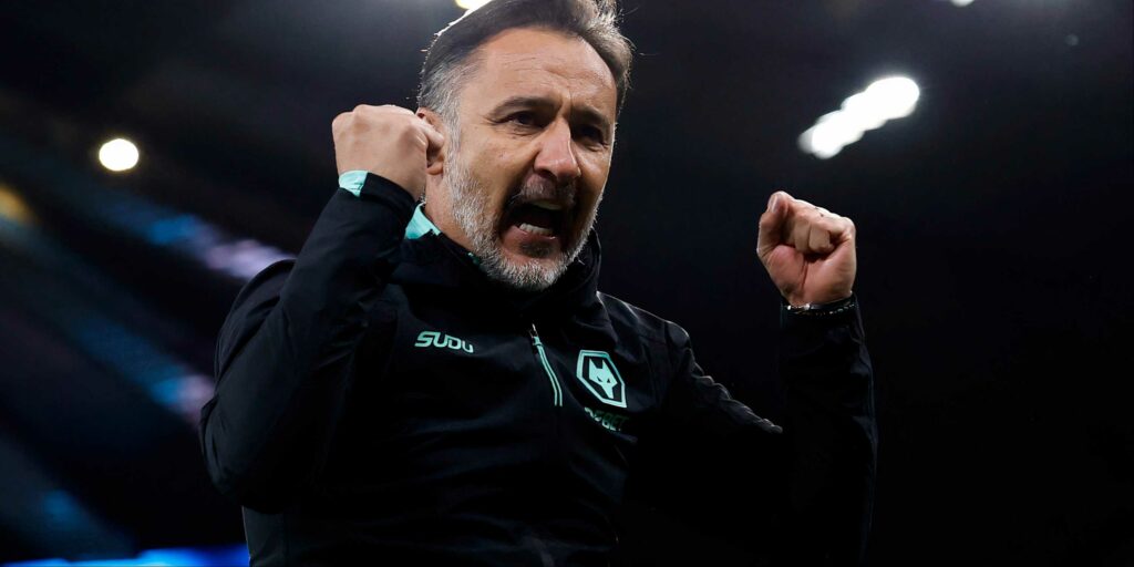 Wolverhampton Wanderers manager Vitor Pereira