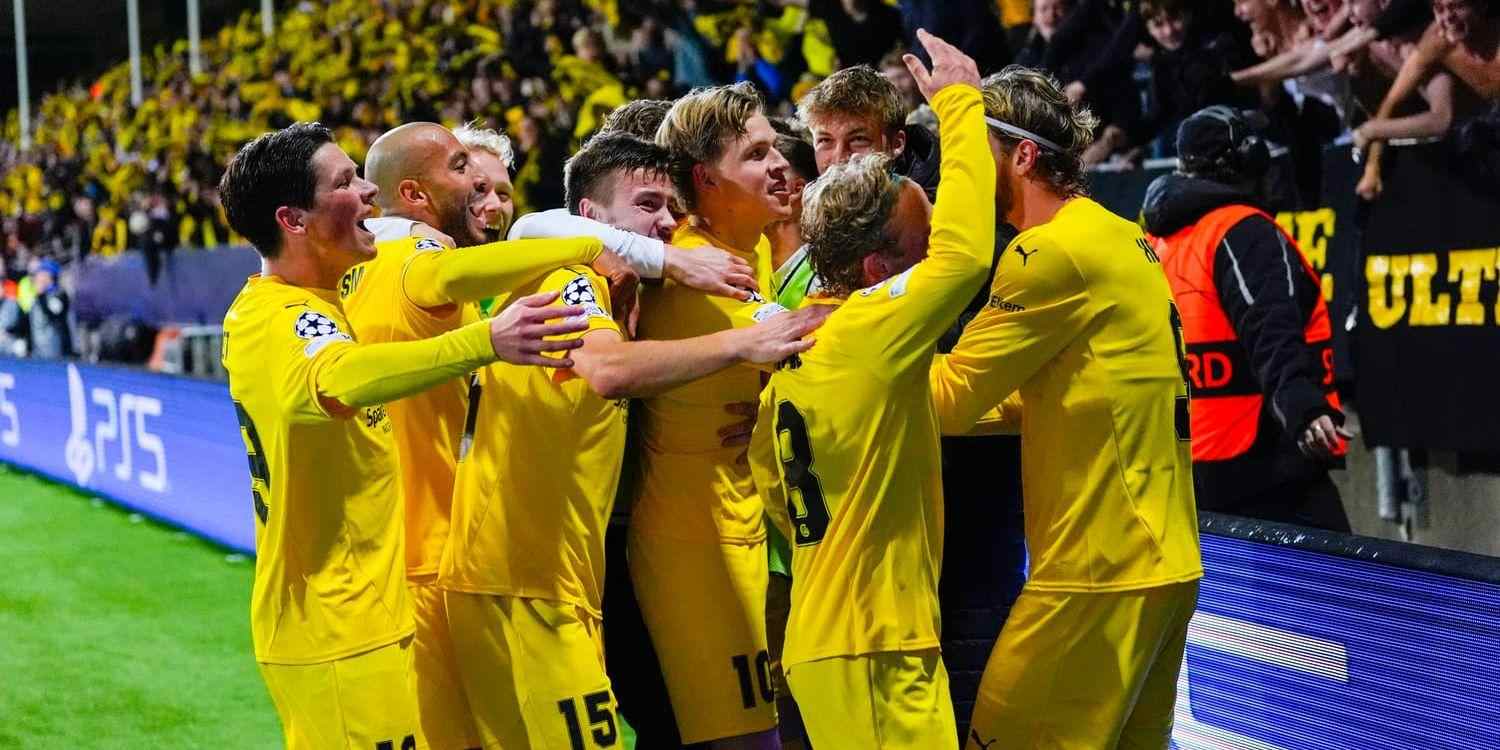 Bodo/Glimt players celebrate goal against Tottenham