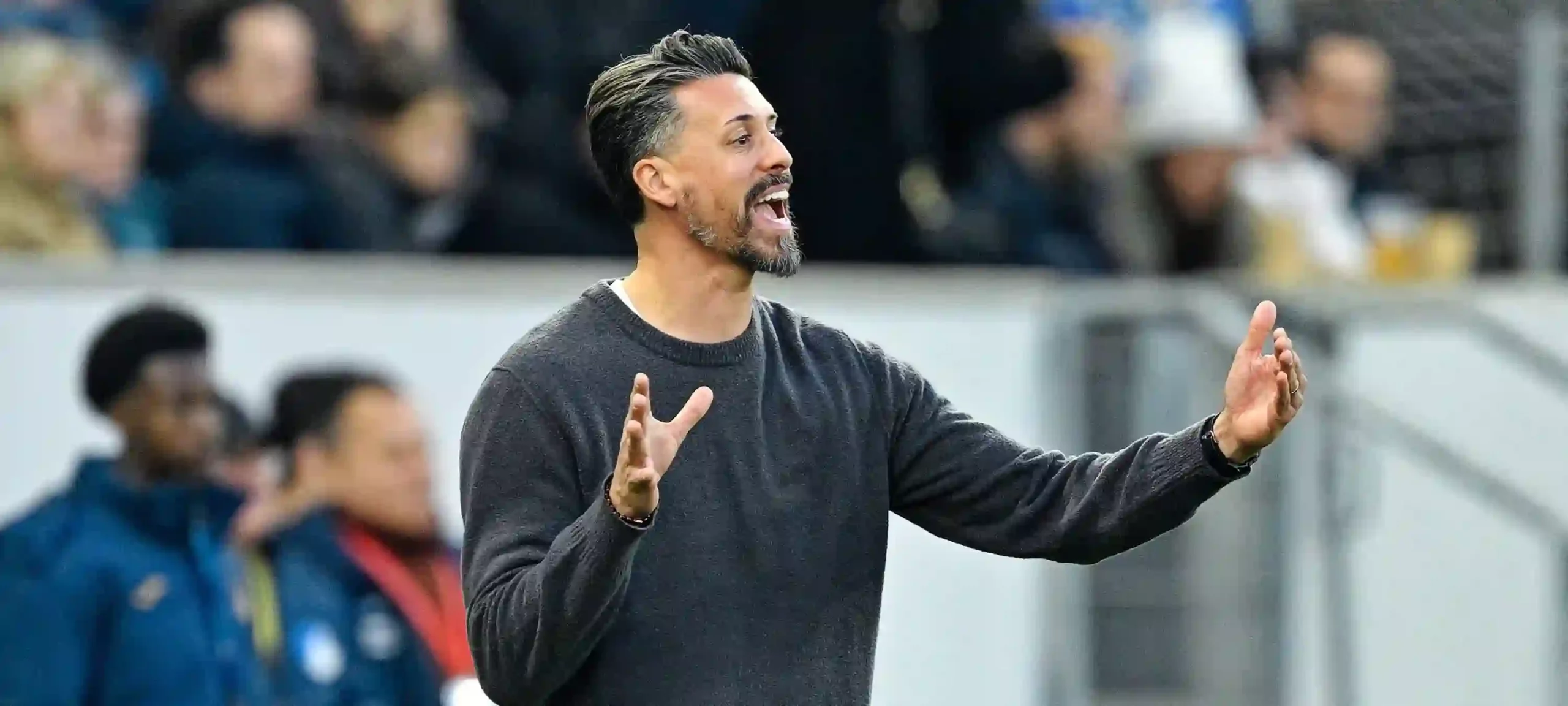 Former Augsburg head coach Sandro Wagner