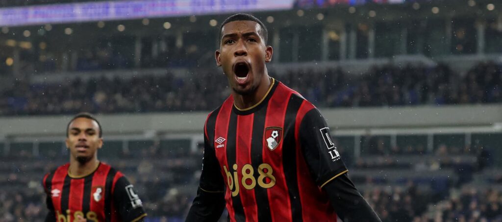 Bournemouth players celebrate after scoring against Everton