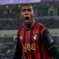 Bournemouth players celebrate after scoring against Everton