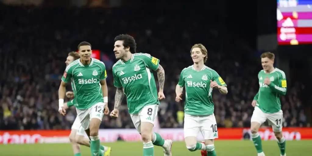 Newcastle players celebrate after scoring against Qarabag