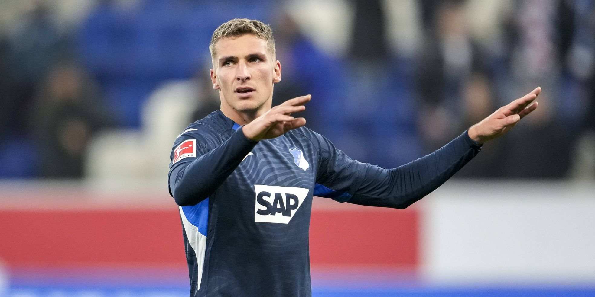 Hoffenheim midfielder Sacha Promel