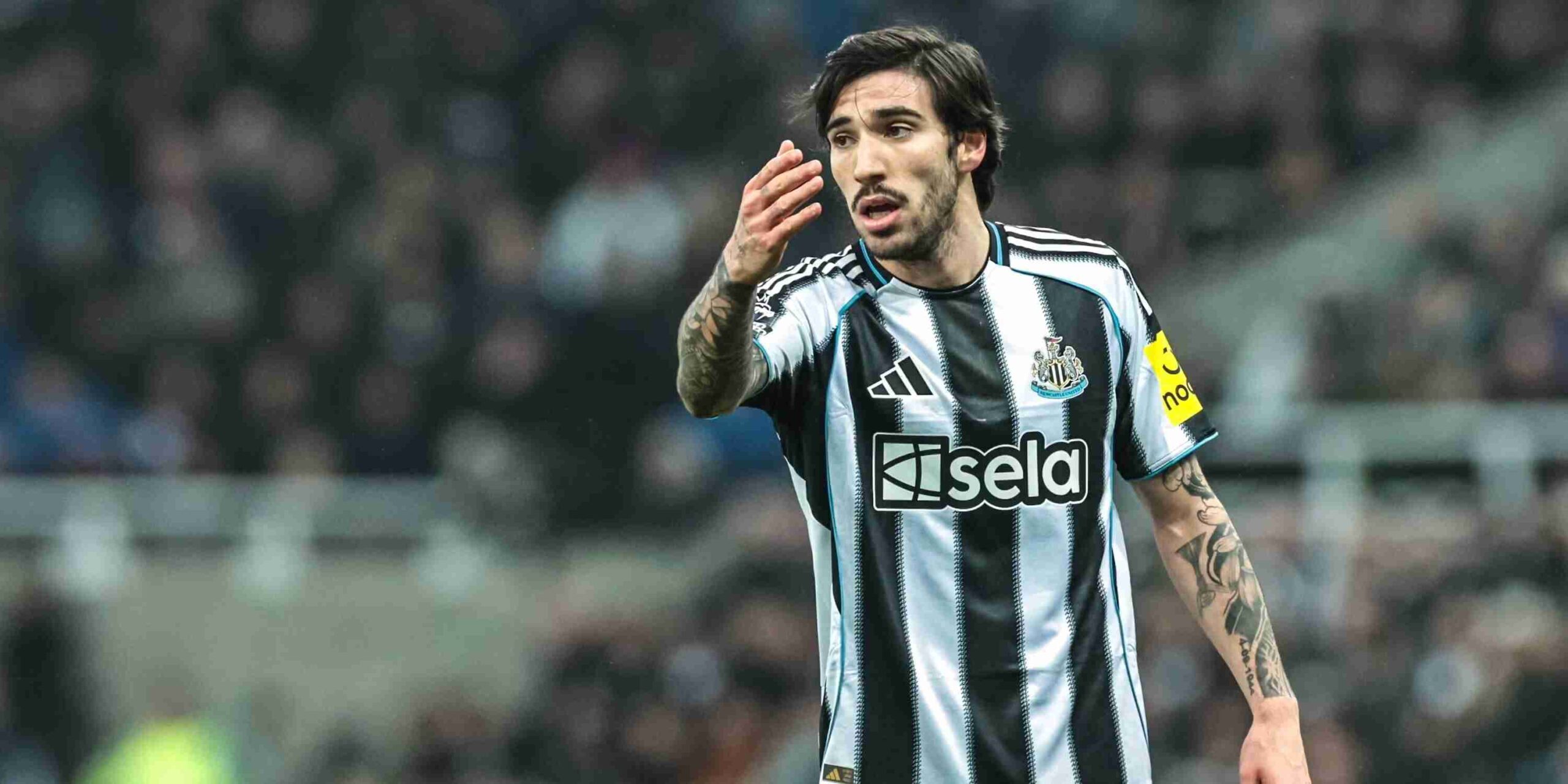 Newcastle midfielder Sandro Tonali