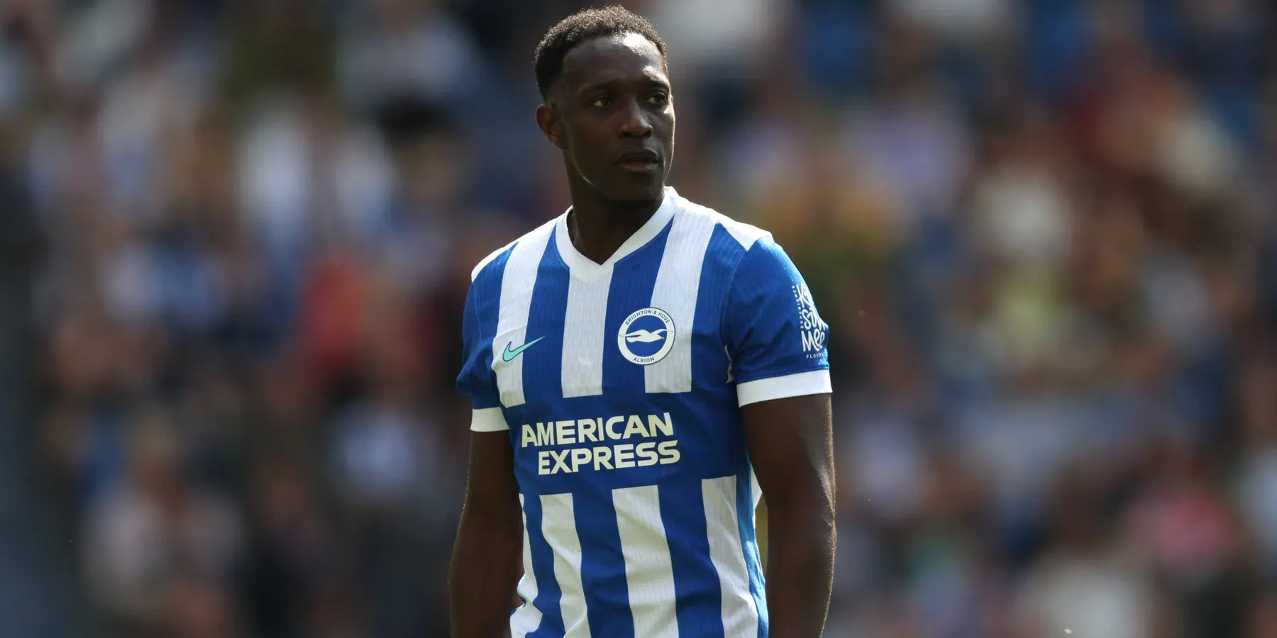 Brighton striker Danny Welbeck