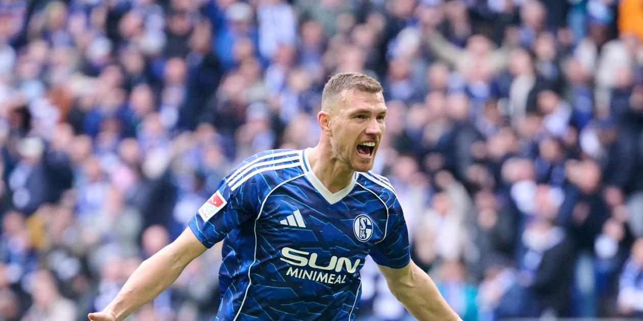 Schalke striker Edin Dzeko