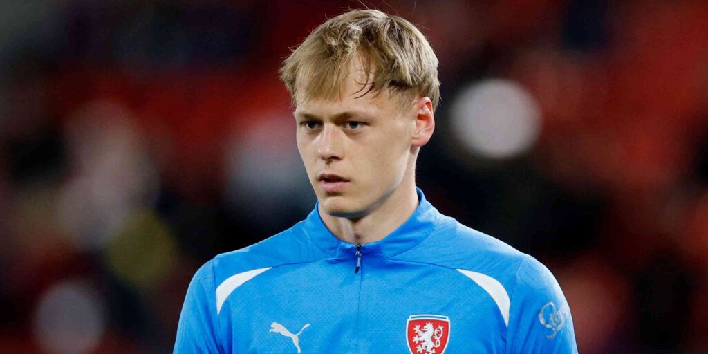 Lukas Hornicek